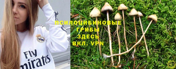 ALPHA PVP Балабаново